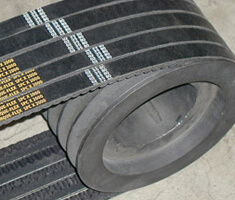 belt